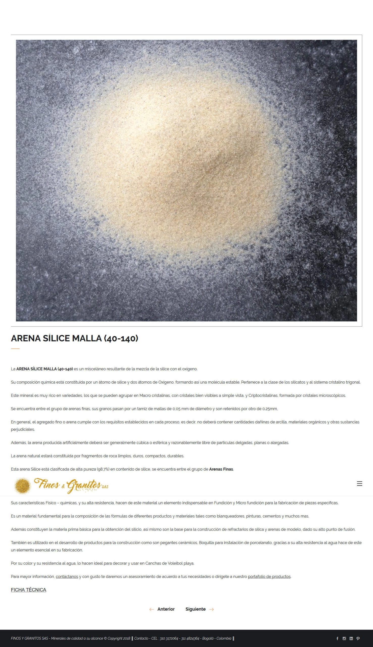 Mockup de sitio web
